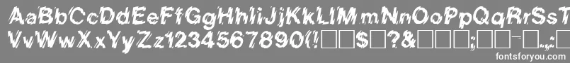 フォントReginiaRegular – 灰色の背景に白い文字