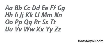 LinotypevetoMediumitalic Font