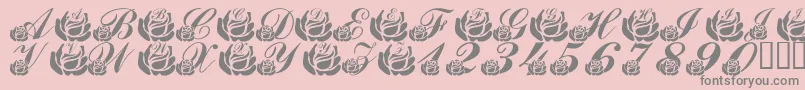 LmsCorinnesRoses Font – Gray Fonts on Pink Background