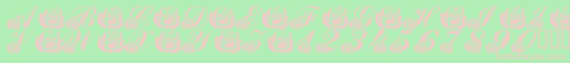 LmsCorinnesRoses Font – Pink Fonts on Green Background