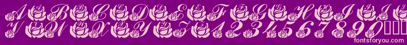 LmsCorinnesRoses Font – Pink Fonts on Purple Background