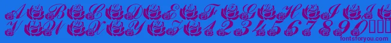 LmsCorinnesRoses Font – Purple Fonts on Blue Background