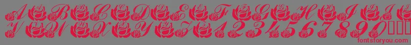 LmsCorinnesRoses Font – Red Fonts on Gray Background