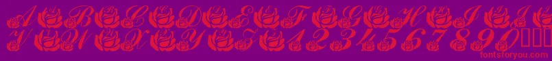 Fonte LmsCorinnesRoses – fontes vermelhas em um fundo violeta