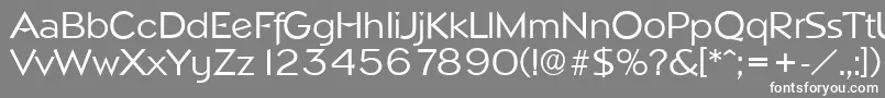 NapoliserialRegular Font – White Fonts on Gray Background
