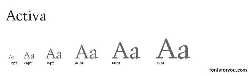 Размеры шрифта Activa