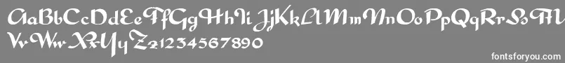 フォントInterditeScript – 灰色の背景に白い文字