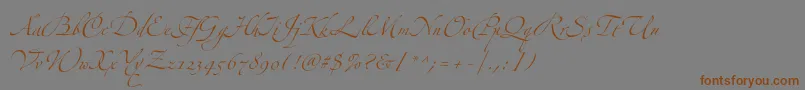 フォントZapfinoextraltThree – 茶色の文字が灰色の背景にあります。