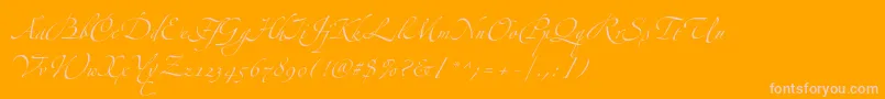 ZapfinoextraltThree Font – Pink Fonts on Orange Background