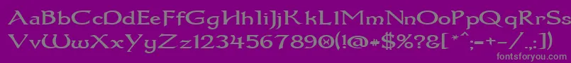 Dumbledor1Wide Font – Gray Fonts on Purple Background