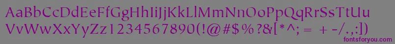 ItcTiepoloLtBook Font – Purple Fonts on Gray Background