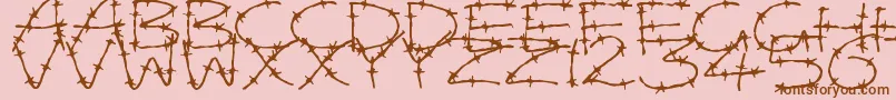 BarbedWires-Schriftart – Braune Schriften auf rosa Hintergrund