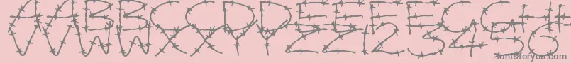 BarbedWires-Schriftart – Graue Schriften auf rosa Hintergrund