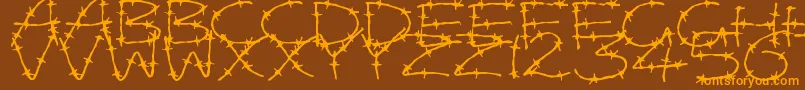 BarbedWires Font – Orange Fonts on Brown Background