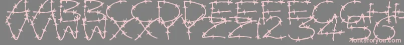 Fonte BarbedWires – fontes rosa em um fundo cinza