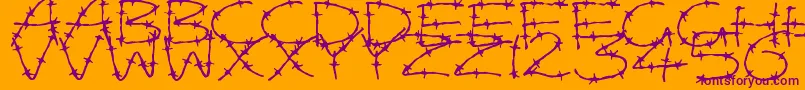 BarbedWires-Schriftart – Violette Schriften auf orangefarbenem Hintergrund