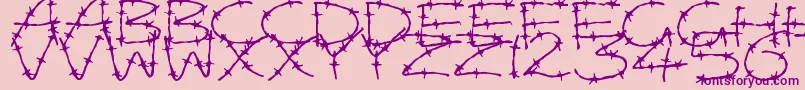 Fonte BarbedWires – fontes roxas em um fundo rosa