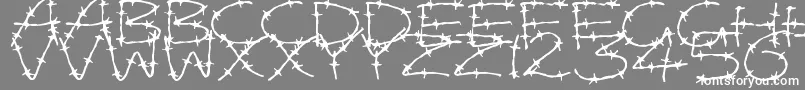 BarbedWires Font – White Fonts on Gray Background