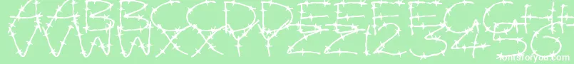 Шрифт BarbedWires – белые шрифты на зелёном фоне