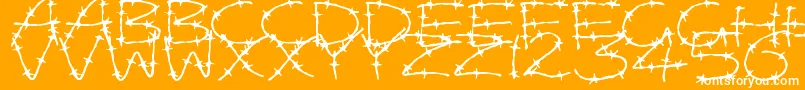 BarbedWires-fontti – valkoiset fontit oranssilla taustalla