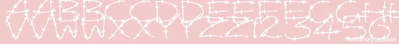 BarbedWires Font – White Fonts on Pink Background