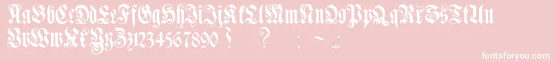 GenzschEtHeyseAlternate Font – White Fonts on Pink Background