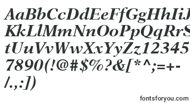 NewAsterLtBoldItalic font – business Fonts