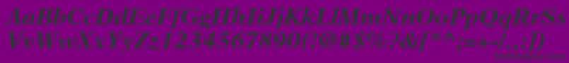 NewAsterLtBoldItalic Font – Black Fonts on Purple Background