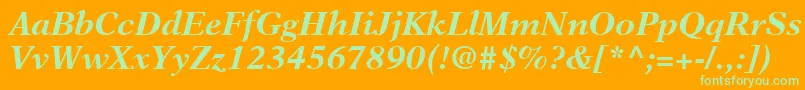 NewAsterLtBoldItalic Font – Green Fonts on Orange Background