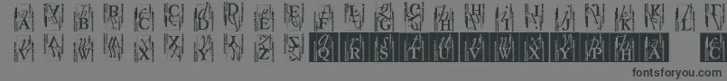 Fonte Typoasisinitials – fontes pretas em um fundo cinza