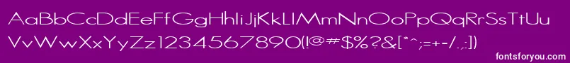 SansserifRegular Font – White Fonts on Purple Background