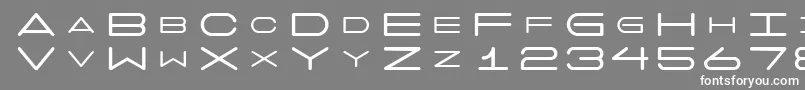 フォント7days – 灰色の背景に白い文字