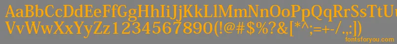 フォントKozminproBold – オレンジの文字は灰色の背景にあります。