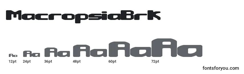 MacropsiaBrk Font Sizes
