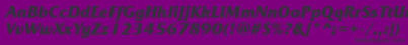 FrizquadratacttBolditalic Font – Black Fonts on Purple Background