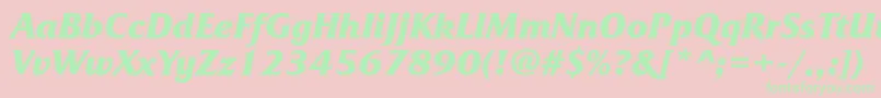 FrizquadratacttBolditalic Font – Green Fonts on Pink Background