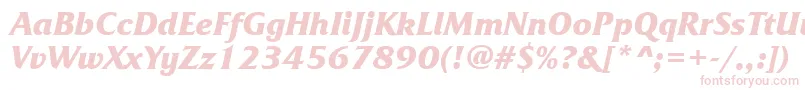 FrizquadratacttBolditalic Font – Pink Fonts on White Background