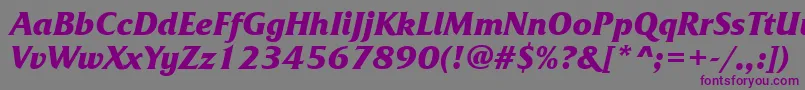 FrizquadratacttBolditalic Font – Purple Fonts on Gray Background