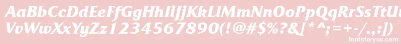 FrizquadratacttBolditalic Font – White Fonts on Pink Background