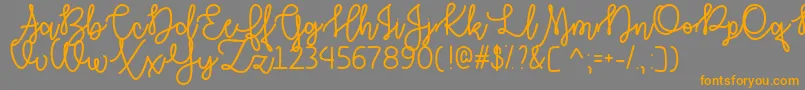 AutumnMoonOtf Font – Orange Fonts on Gray Background