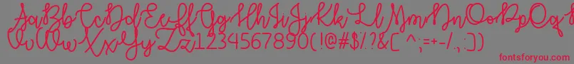 AutumnMoonOtf Font – Red Fonts on Gray Background
