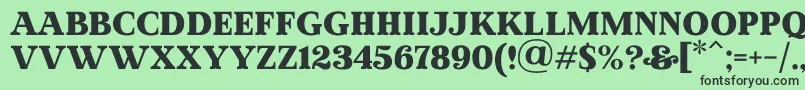 MadeWinterSolidPersonalUse Font – Black Fonts on Green Background