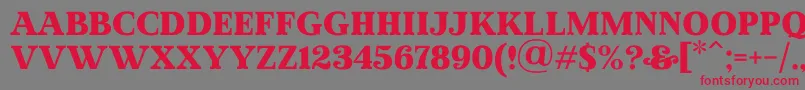 MadeWinterSolidPersonalUse Font – Red Fonts on Gray Background