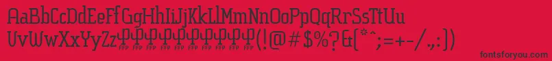 SucesionSlabFontFfp Font – Black Fonts on Red Background