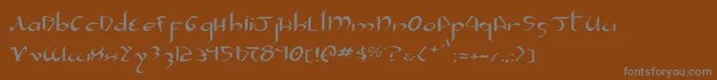 フォントXaphanIiExpanded – 茶色の背景に灰色の文字