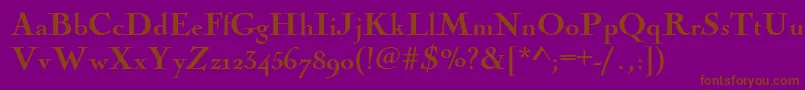 Nicolascoctbla Font – Brown Fonts on Purple Background