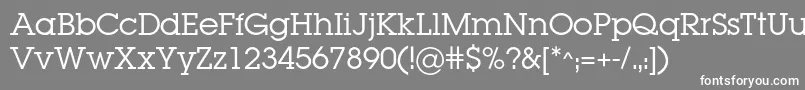 フォントLugabookc – 灰色の背景に白い文字