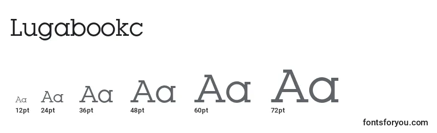 Размеры шрифта Lugabookc