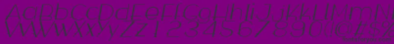 Wabeco Thinitalic Font – Black Fonts on Purple Background