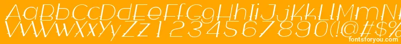 Wabeco Thinitalic Font – White Fonts on Orange Background